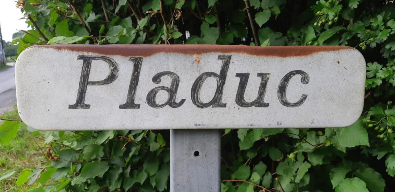 Bed and Breakfast Domaine de Pladuc Lachaise Exterior foto