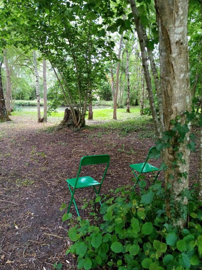 Bed and Breakfast Domaine de Pladuc Lachaise Exterior foto