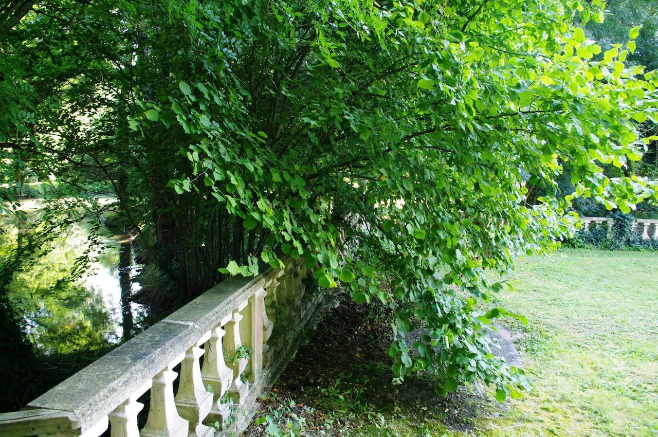 Bed and Breakfast Domaine de Pladuc Lachaise Exterior foto